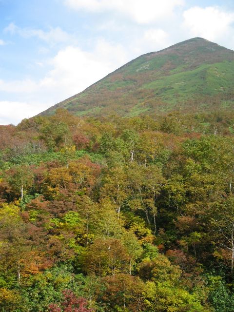 ニセコブログ ニセコでのご宿泊は泉郷コテージへ 涼しくなったニセコ 美しい紅葉シーズンはもうすぐです