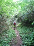078_640.jpg