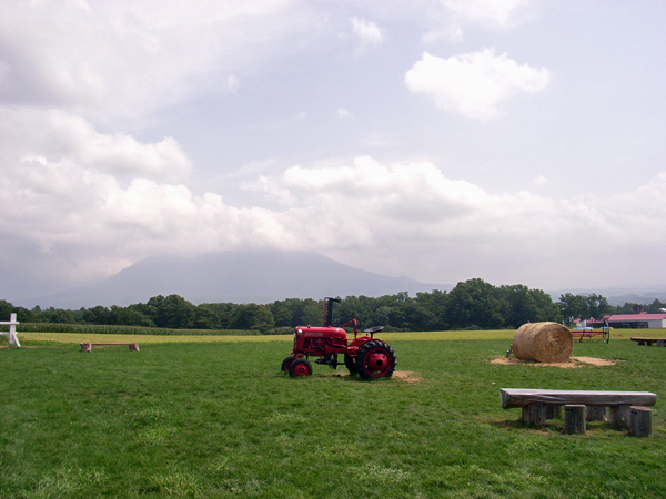ニセコブログ ニセコでのご宿泊は泉郷コテージへ 広い草原といえばココです