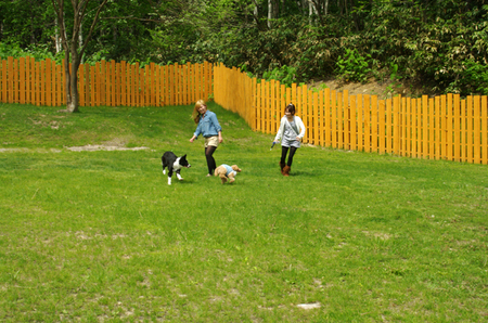 IMGP0301.jpg