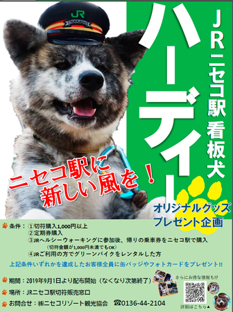 akita.jpg